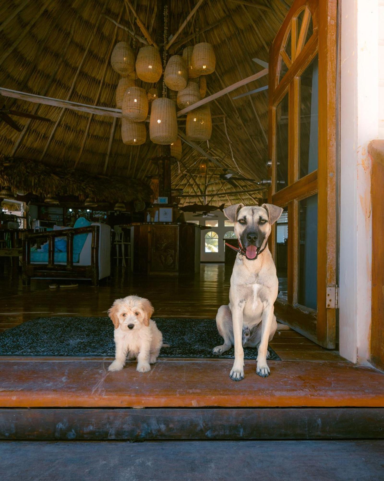 Thatch Caye Resort A Muy'Ono Resort ฮอปกินส์ ภายนอก รูปภาพ
